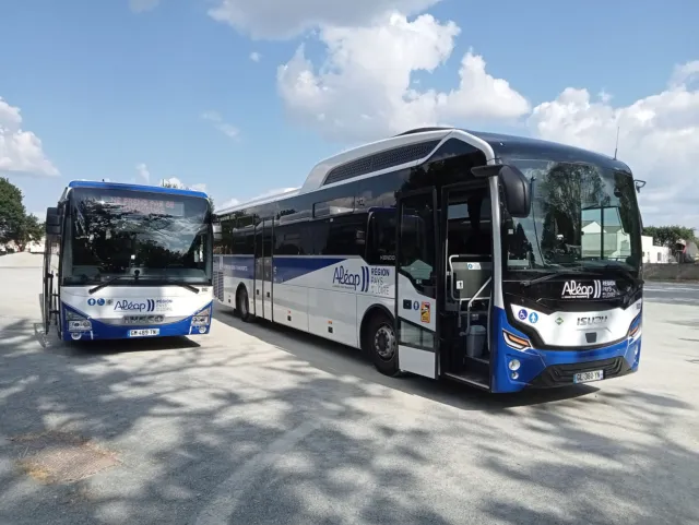 Aleop transport vers le camping